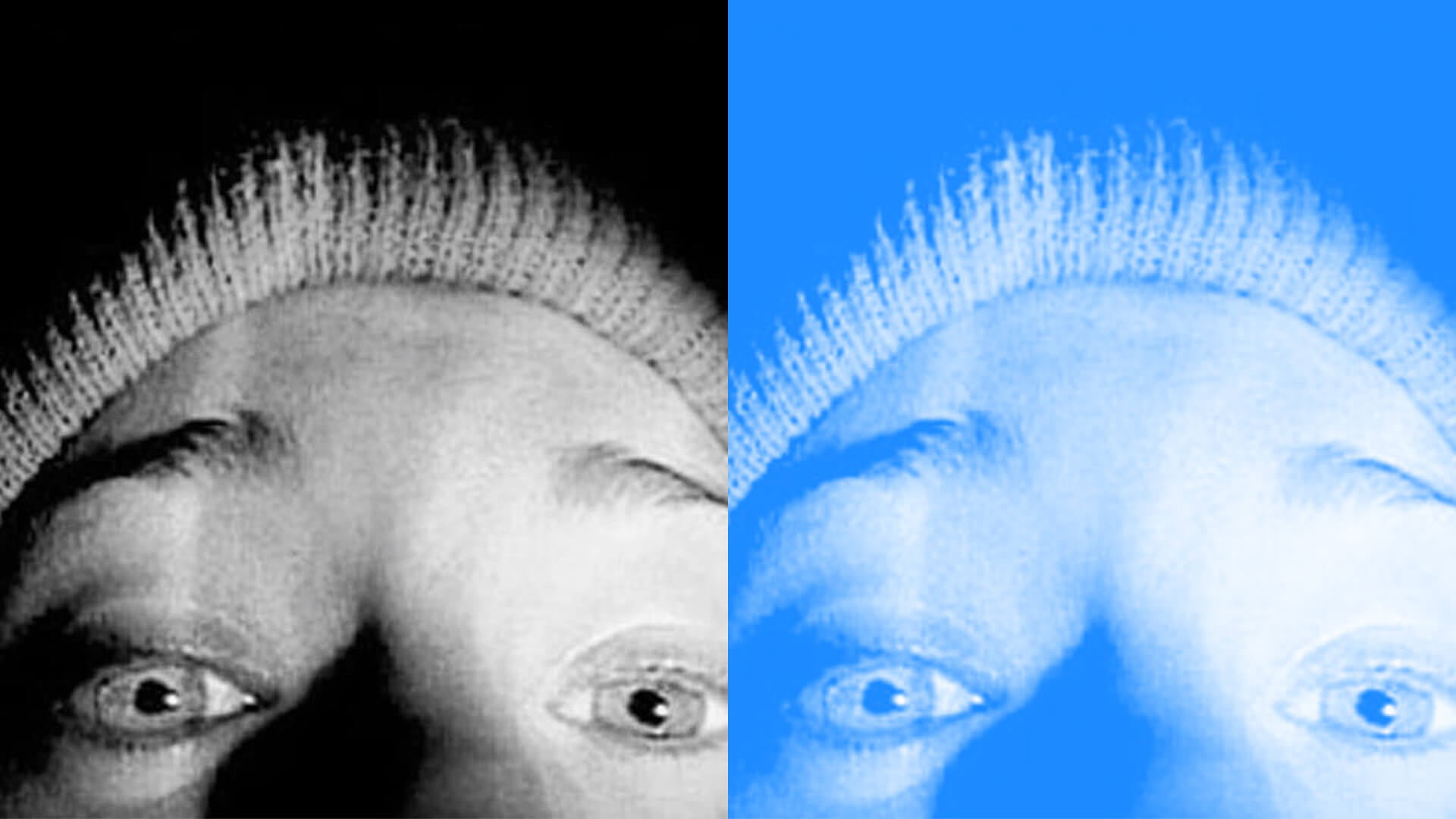 Full Budget & Income Breakdown of The Blair Witch Project | Wrapbook